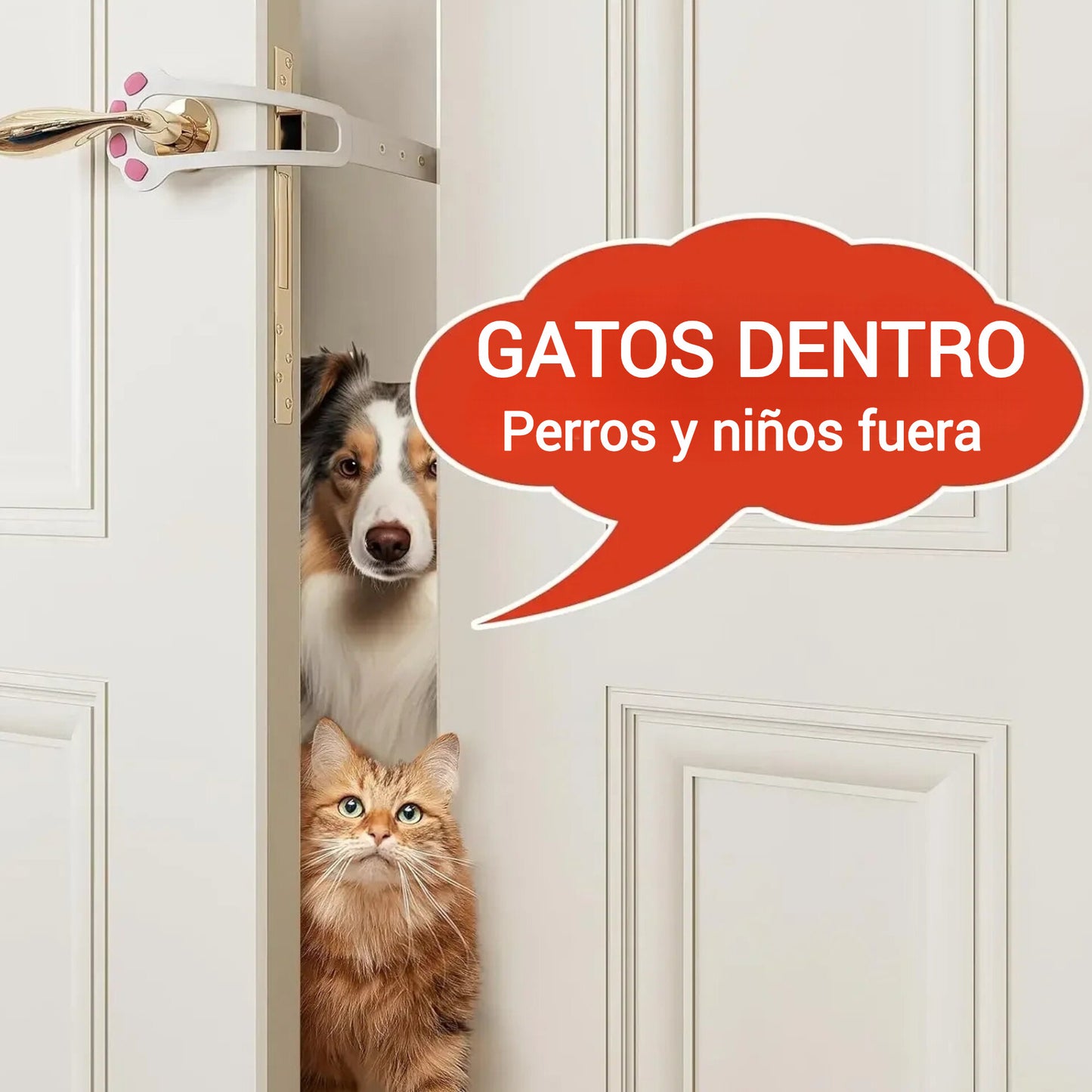 Bloquea la puerta para perros, deja pasar solo a tu gato - Fácil, sin taladros